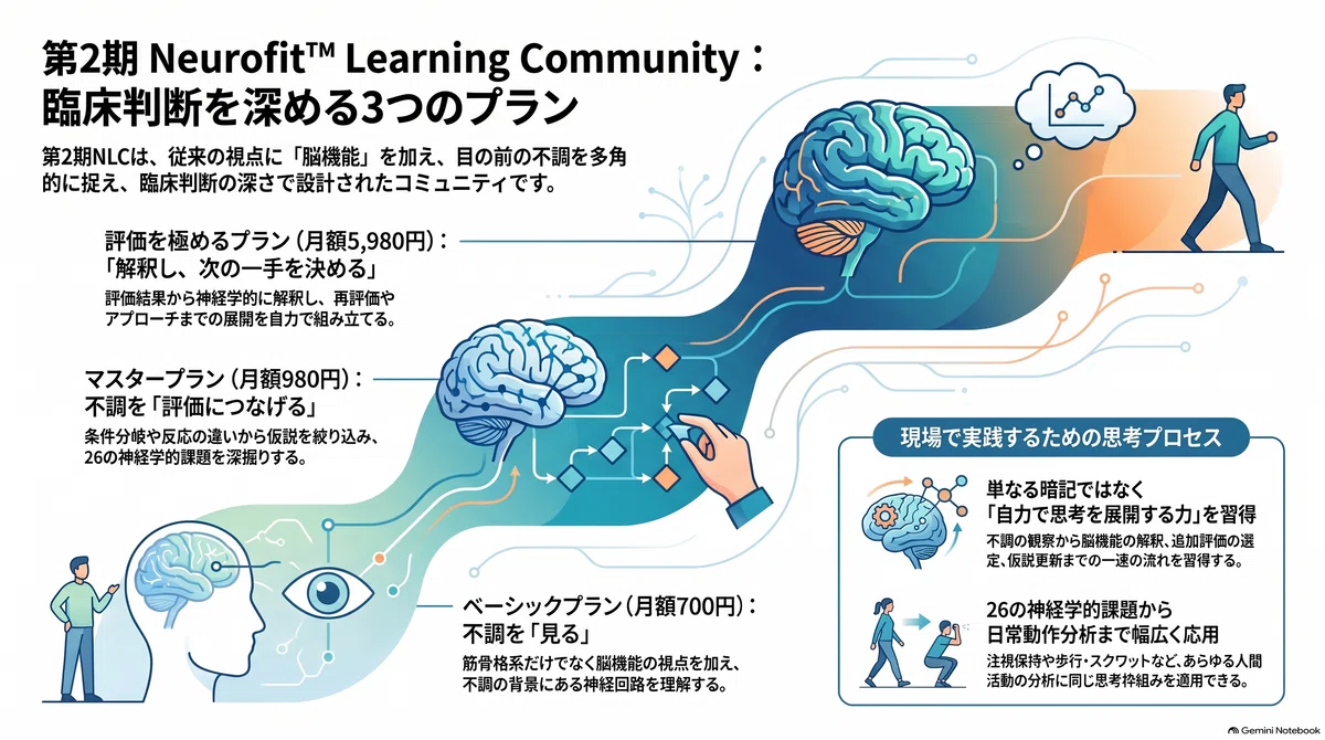 What is NLC Phase 2?: Detailed explanation of each plan｜Neurofit™︎ ...