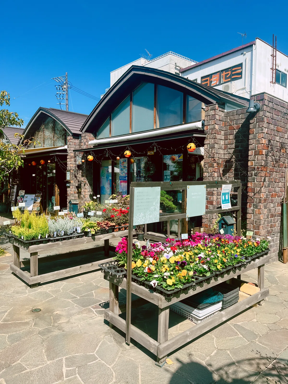 [Nagano] A Local's Stroll in Komoro | Curry and Chiffon Cake Before ...
