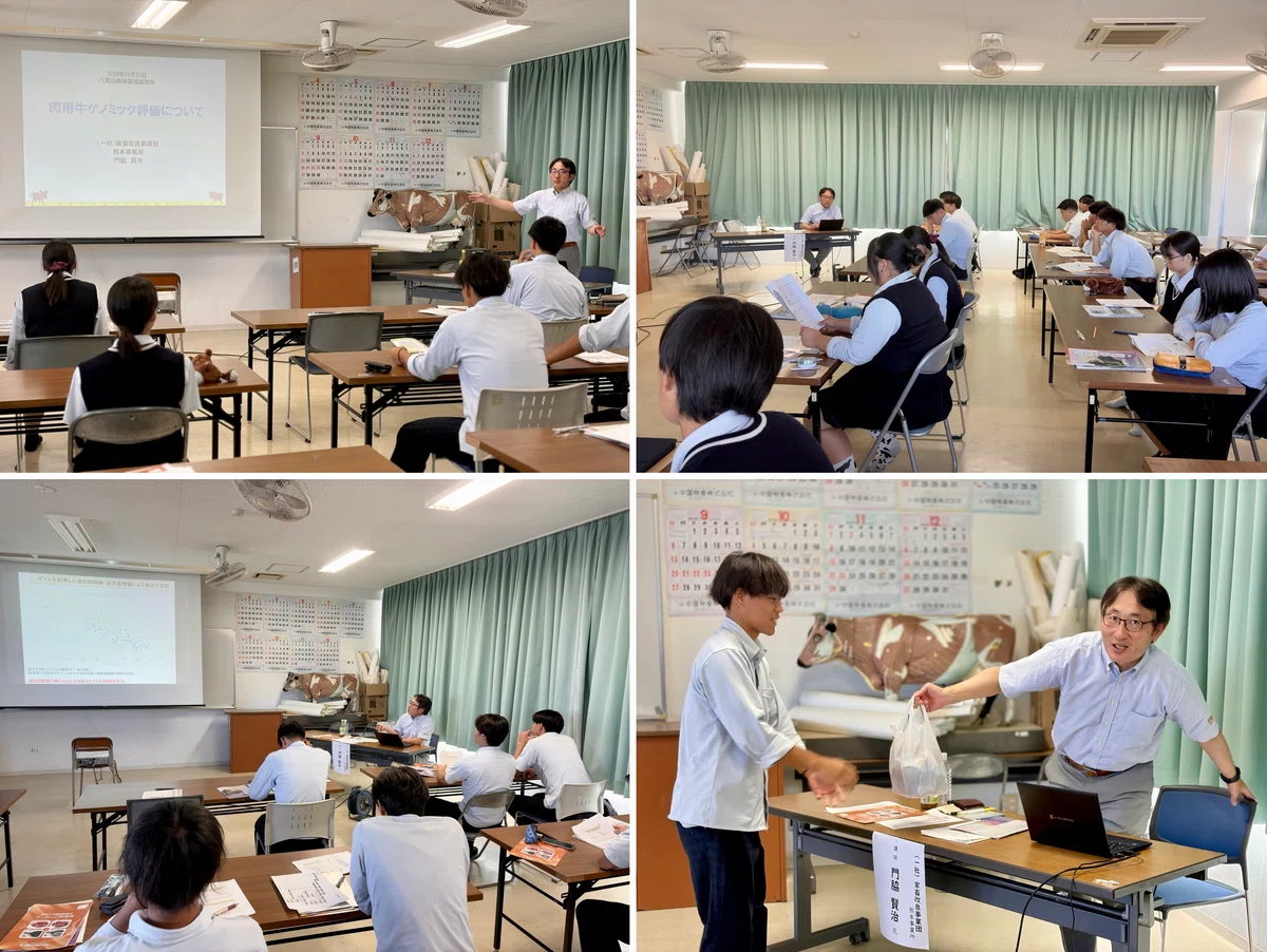 Calf Rearing Infomation Thinking About Cattle Breeding Through Science|沖縄県立八重山農林高等学校