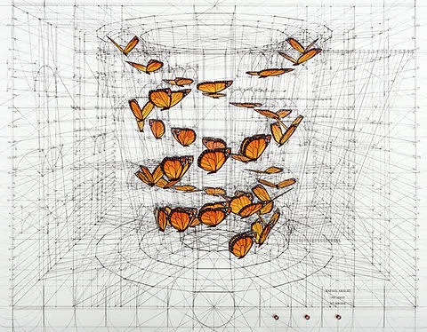 Logarithmic Spirals and Aikido: On Mathematics, Art, and Body Movement｜新敬 智