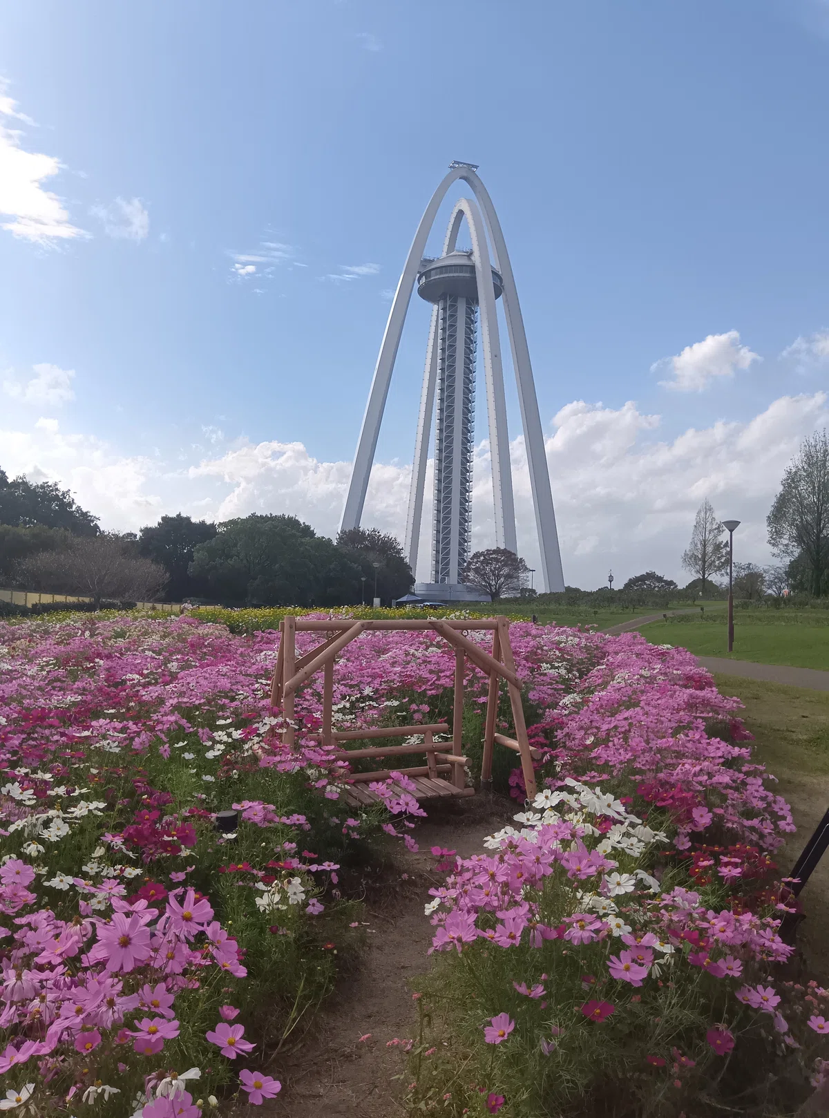 [Ichinomiya City, Aichi Prefecture] An Autumn Stroll at '138 Tower Park ...