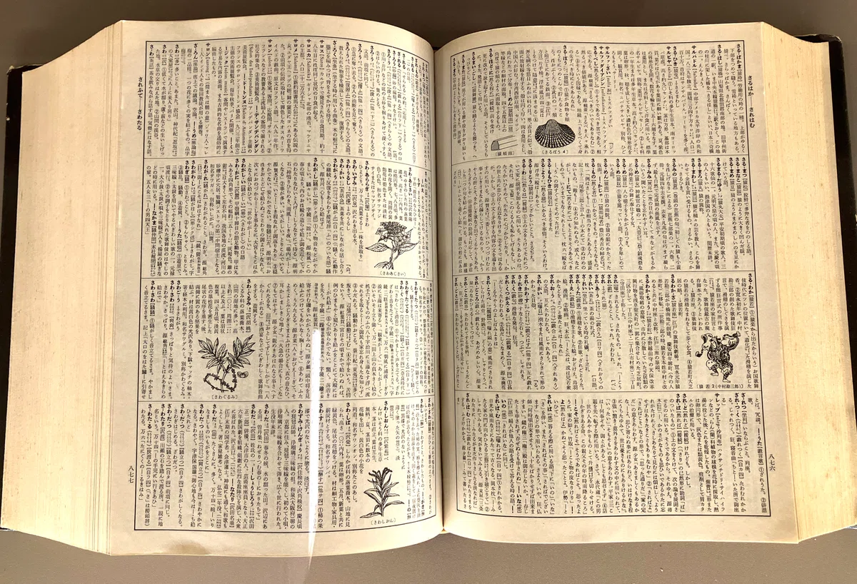 [Ichigaya no Mori Book and Type Museum] Witnessing the Moment When Soul ...