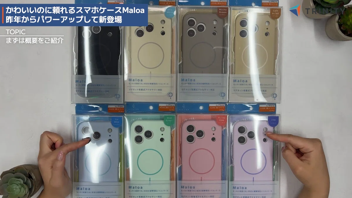[Evolved and Lower Price!] A Thorough Review of the 