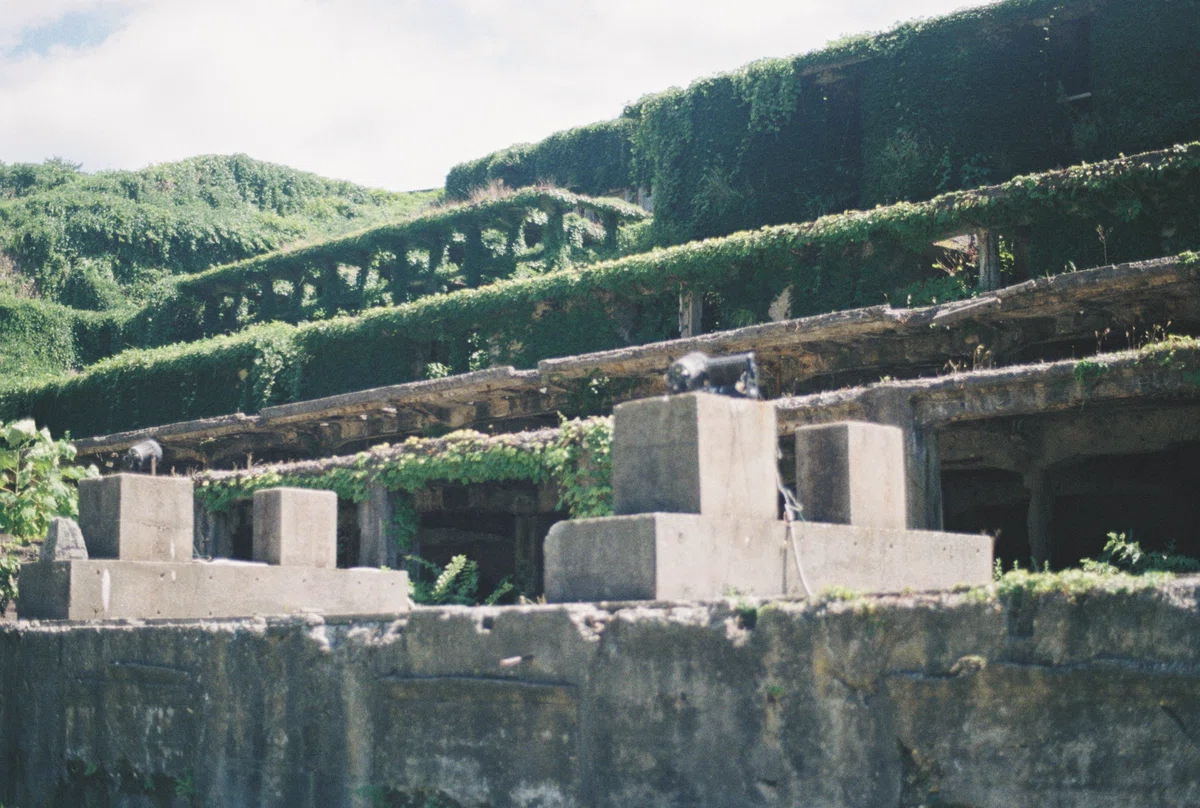 I love the way junk cameras take photos too much｜かまた