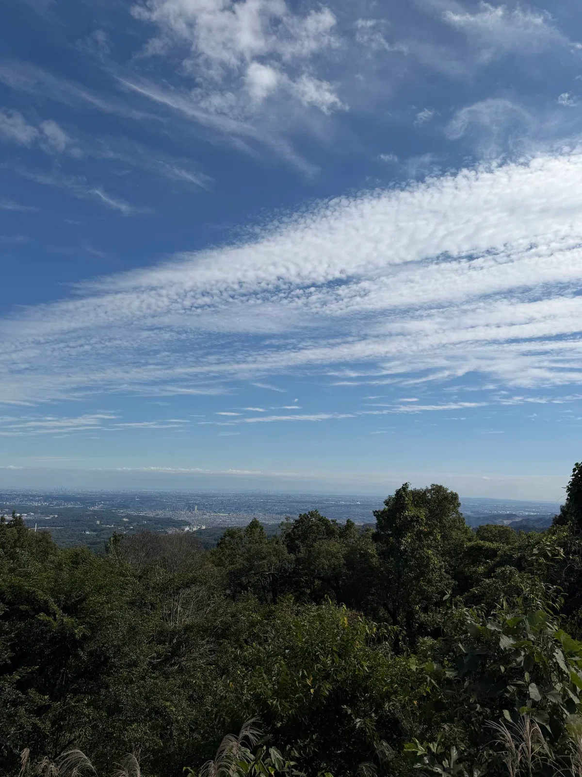 Climbing Mount Takao Clears the Mind and Improves Fortune｜Hidezion｜AI× ...