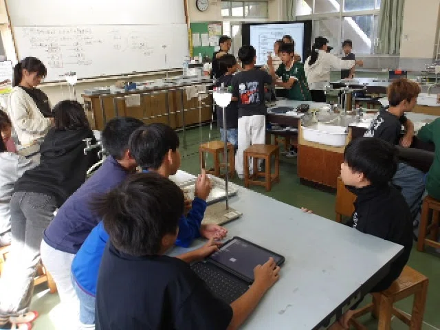Science Grd 7 Notes Thinking and Experimenting for Ourselves: 5th Grade Science 'Pendulums ...