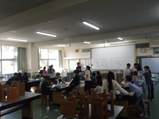 Science Grd 7 Notes Thinking and Experimenting for Ourselves: 5th Grade Science 'Pendulums ...