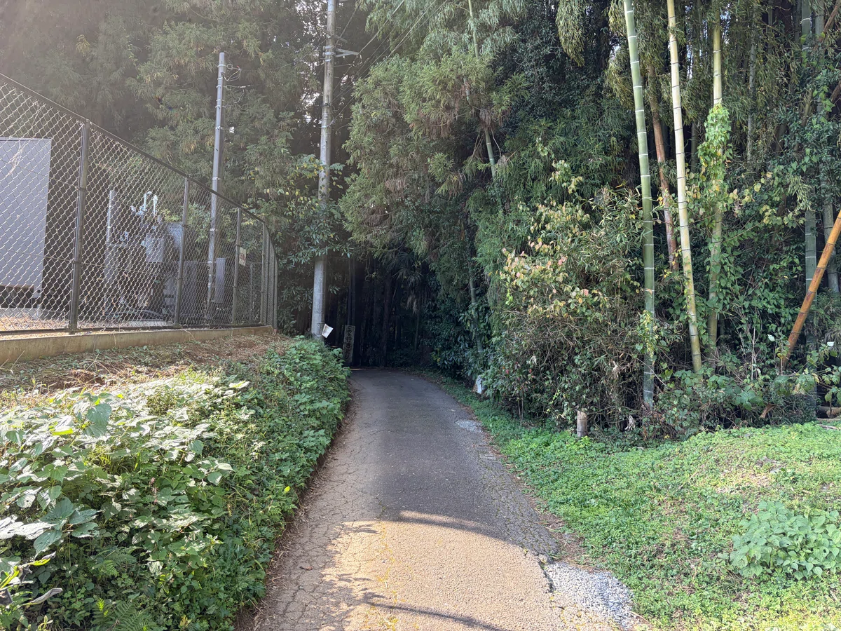 Relaxed Hiking at Akabokko [A Hidden Gem of Tokyo's Low Mountains]｜ラスク
