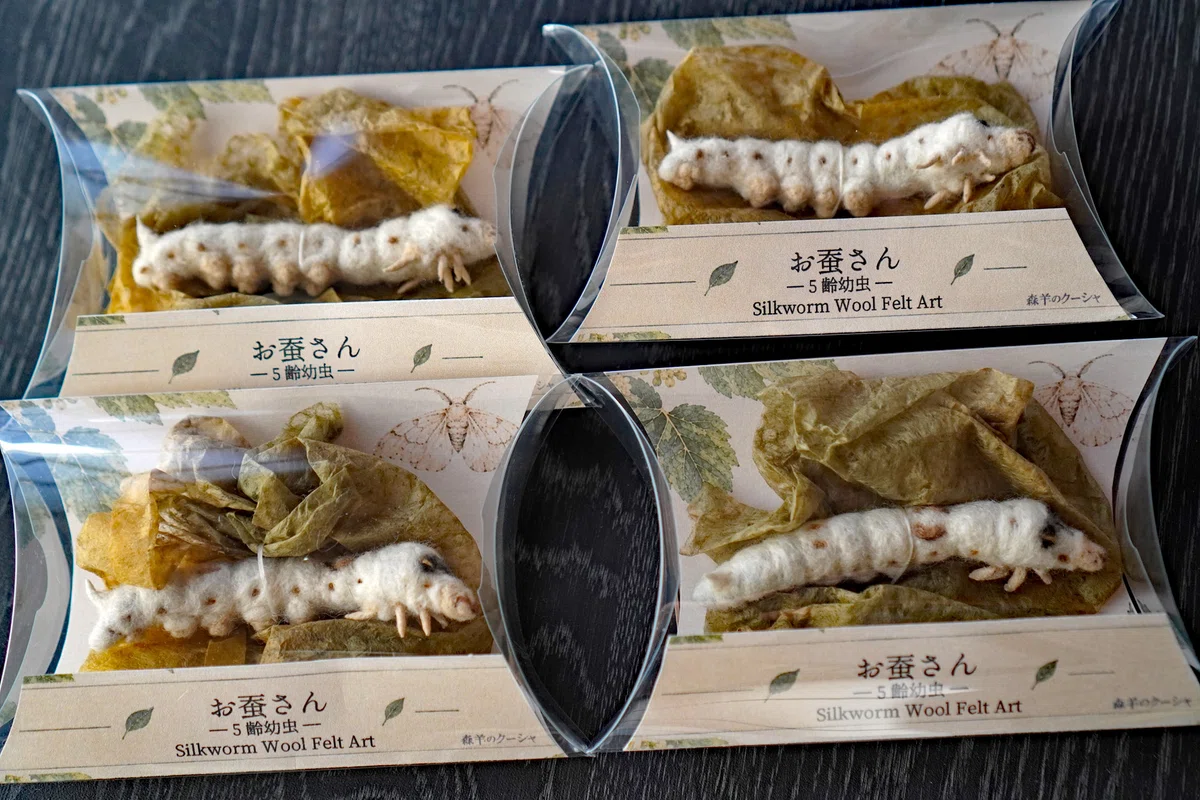 [Insect University 2026] My beloved 'Silkworm' creations are ready ...