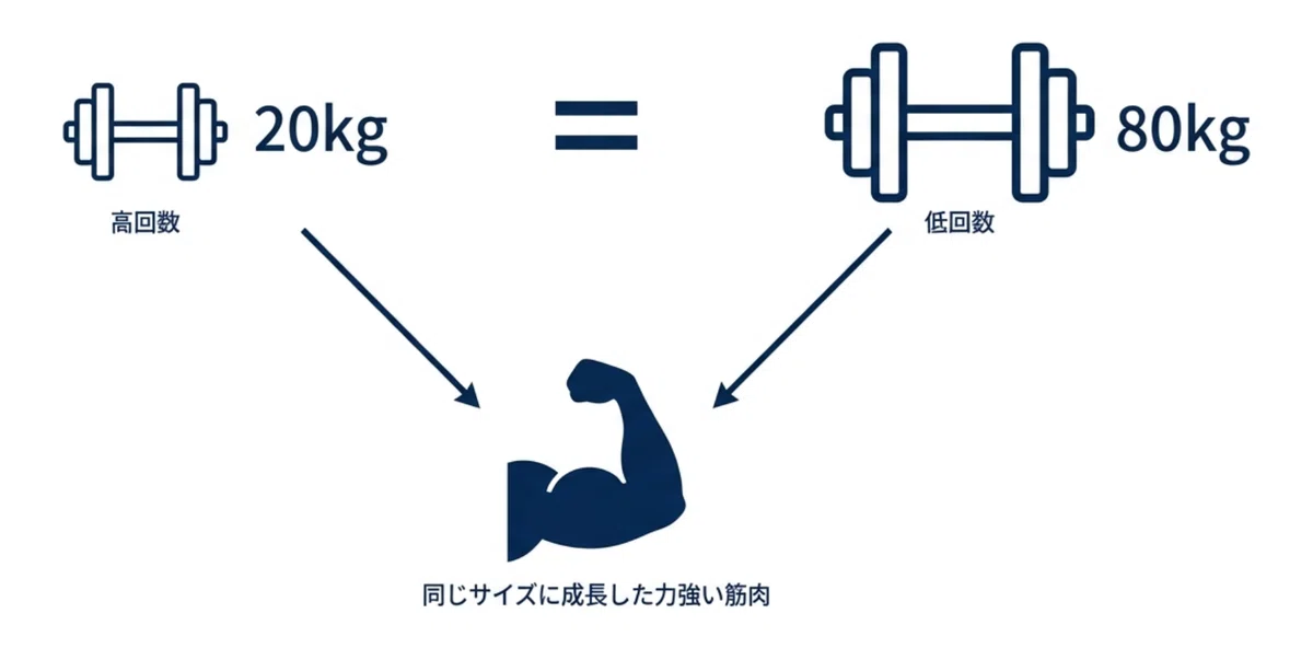 Different Muscle Build Types Muscles grow even with light weights. But is the