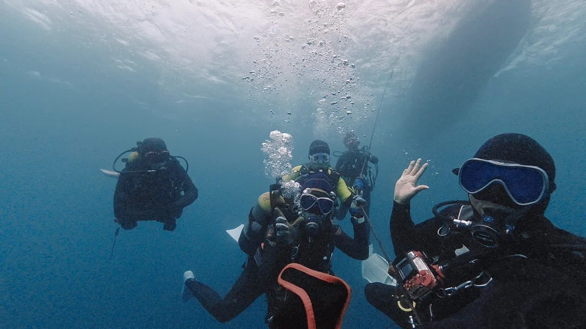 Event Monitor Pacemaker 2026/10/24 FUNDIVE Course. Introductory Diving Course. Murakami Trading ...
