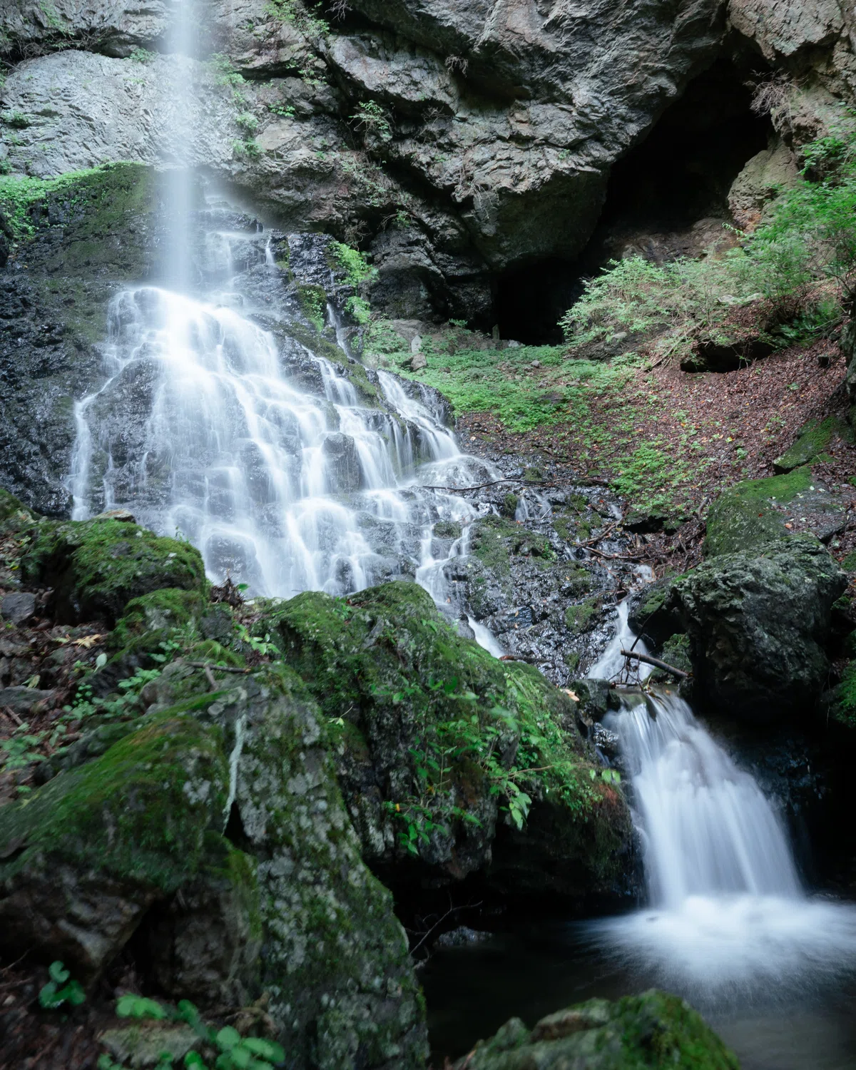The NIKKOR Z 24-120mm f/4 S: A convenient and uncompromising lens｜振替休日 ...