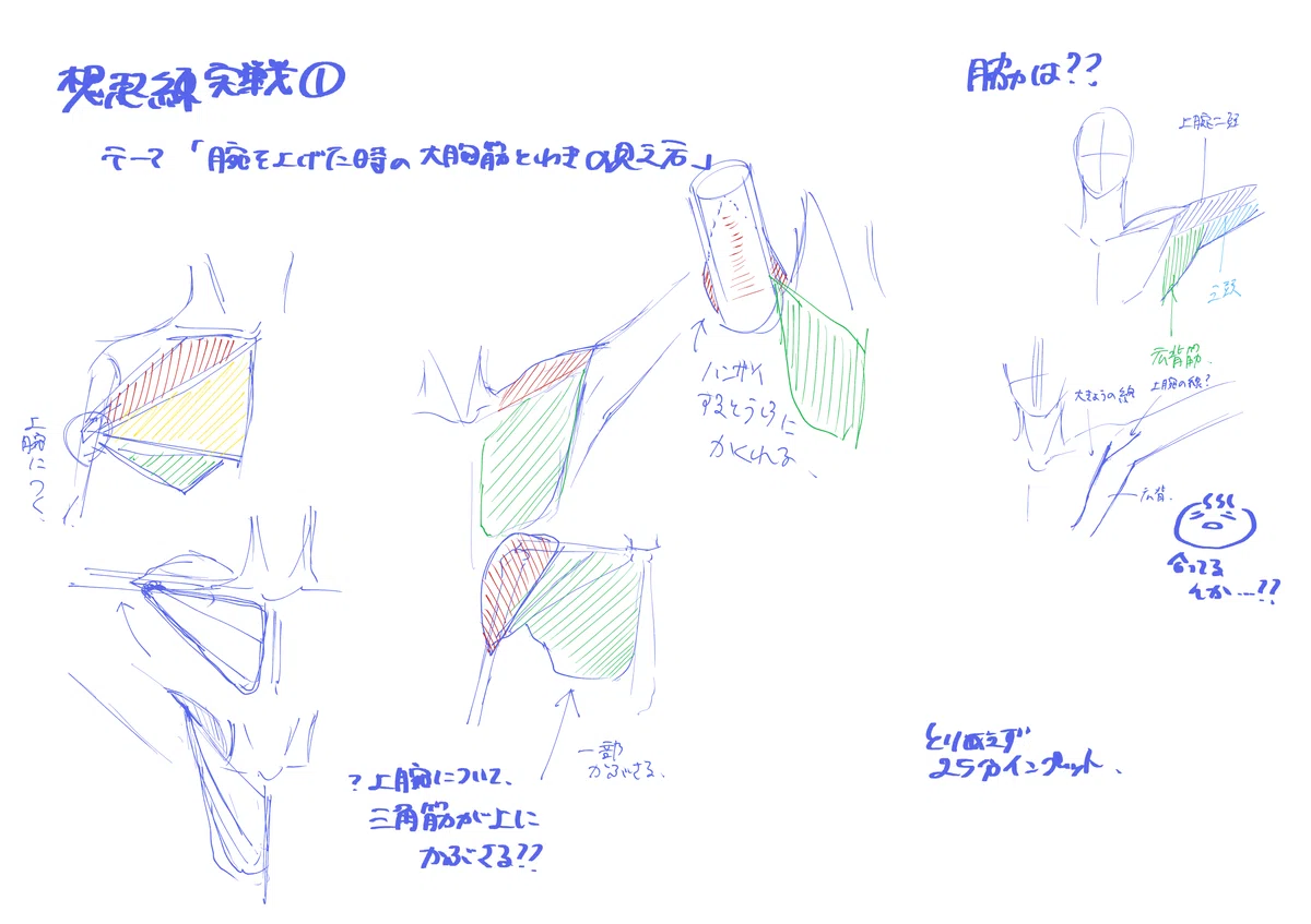 Practicing "Efficient Art Practice Methods" [Goals for 10/24-30]｜ゆ