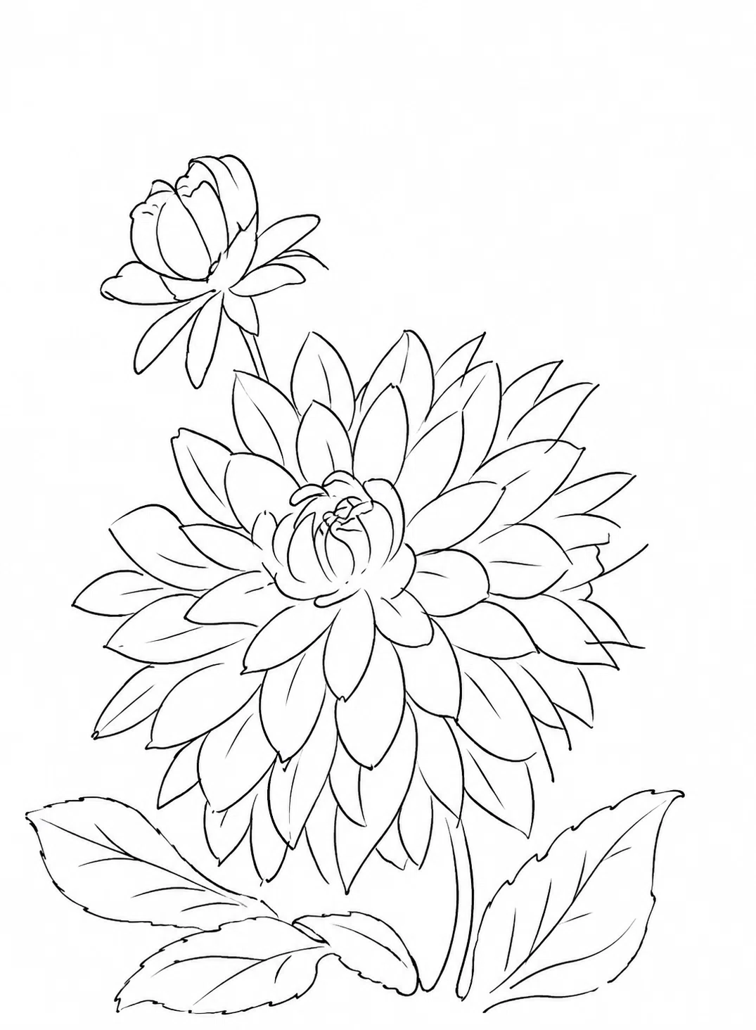 [October 23] Flower 🌸 Dahlia (Tenjiku Botan) 🌸 Illustration drawn in 5 ...