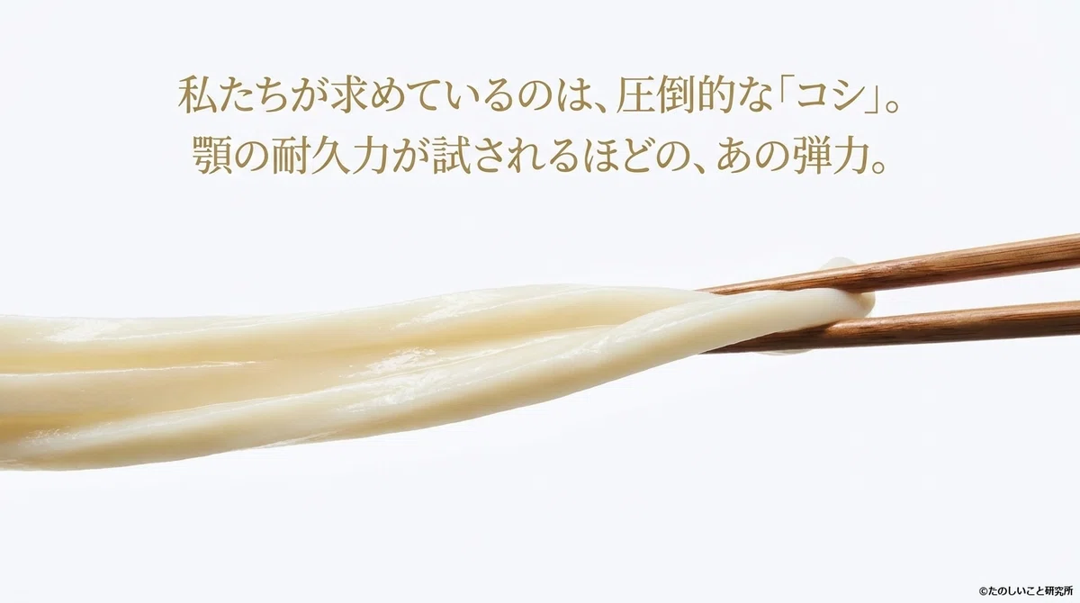 #236 [Sanuki Udon Research Part 1] I still don't know the difference ...