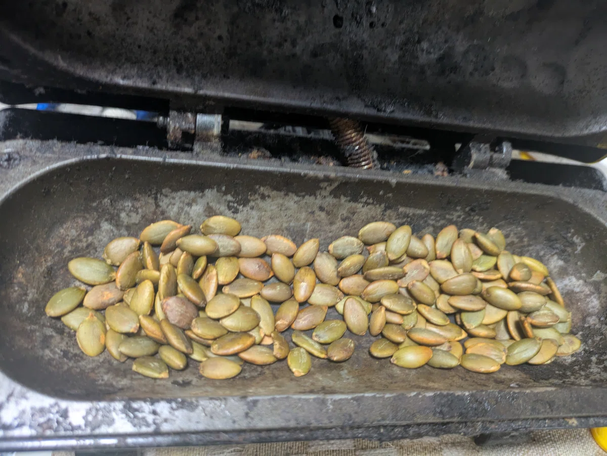 Urinary Bladder Texture Let's Eat Pumpkin Seeds|TOSHI358