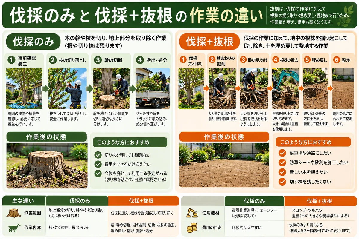 Removal Plan Example What is the difference between felling and stump removal? Is it okay to ...