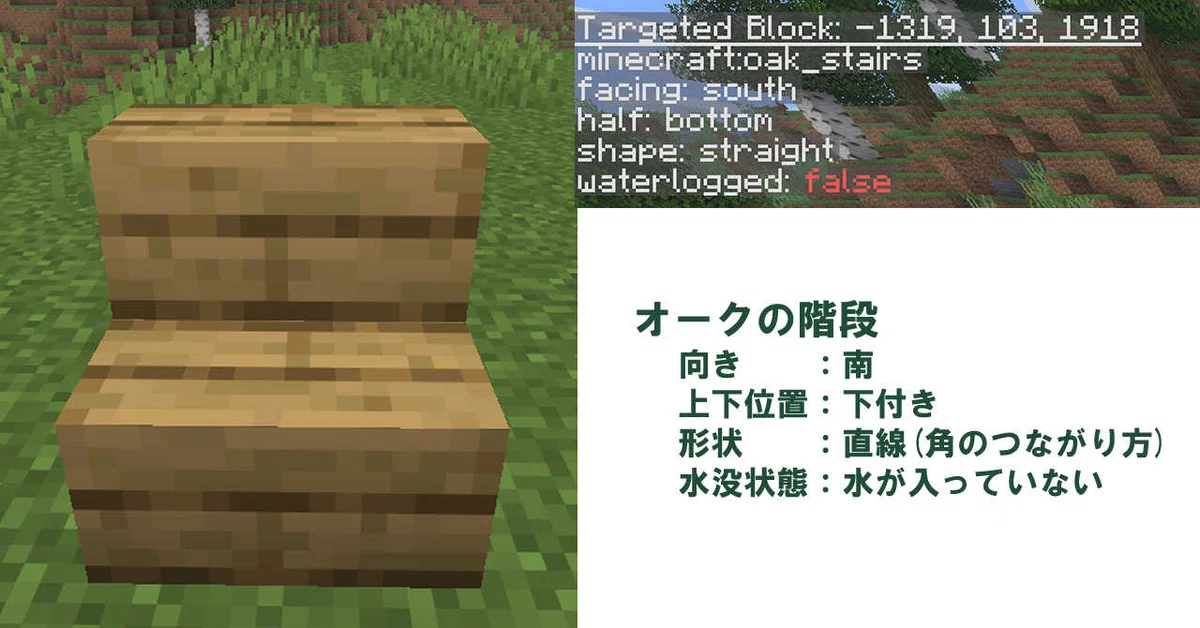 [Minecraft] Creating a Debug World｜なー
