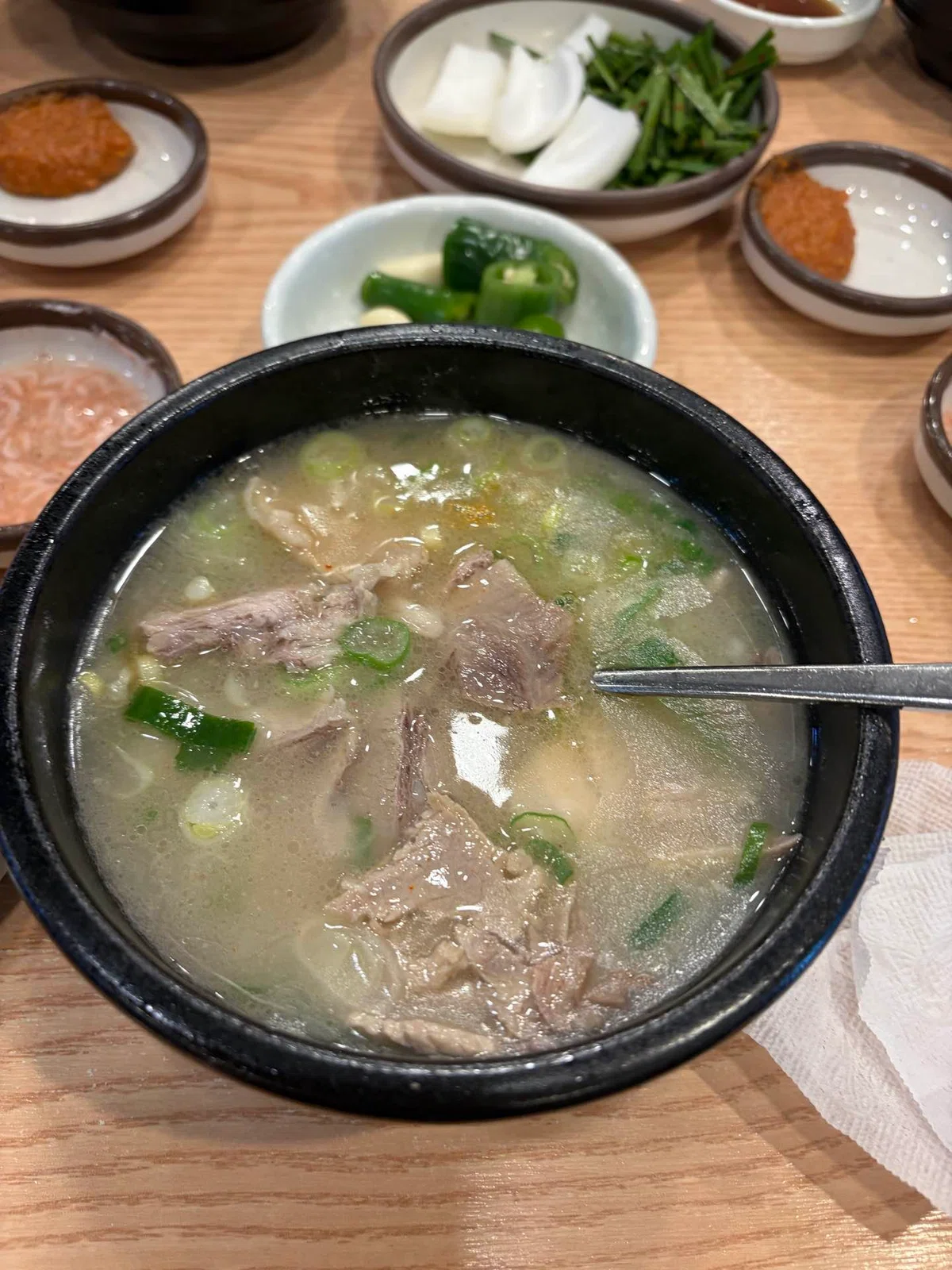 [3 Days 2 Nights in Busan] A Trip to Korea with My Parents! Introducing ...