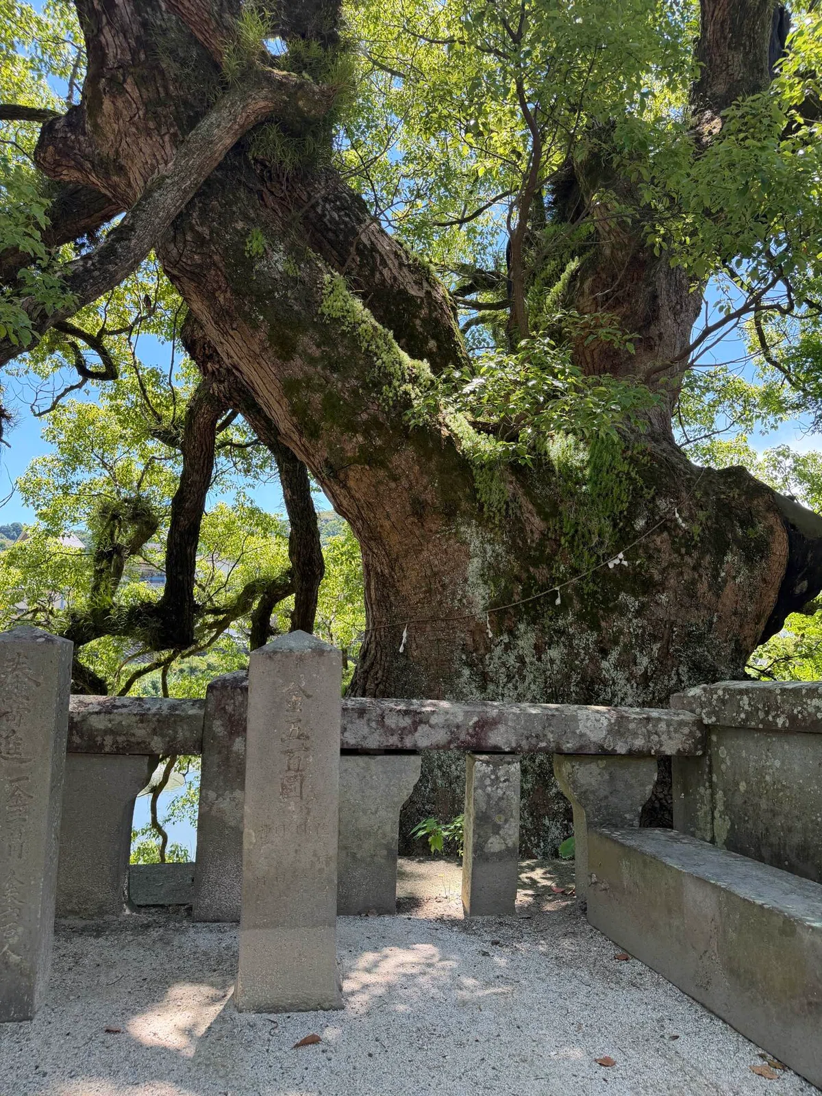 [#6 Yodohime Shrine] Enveloped by clear streams and a 1,400-year-old ...