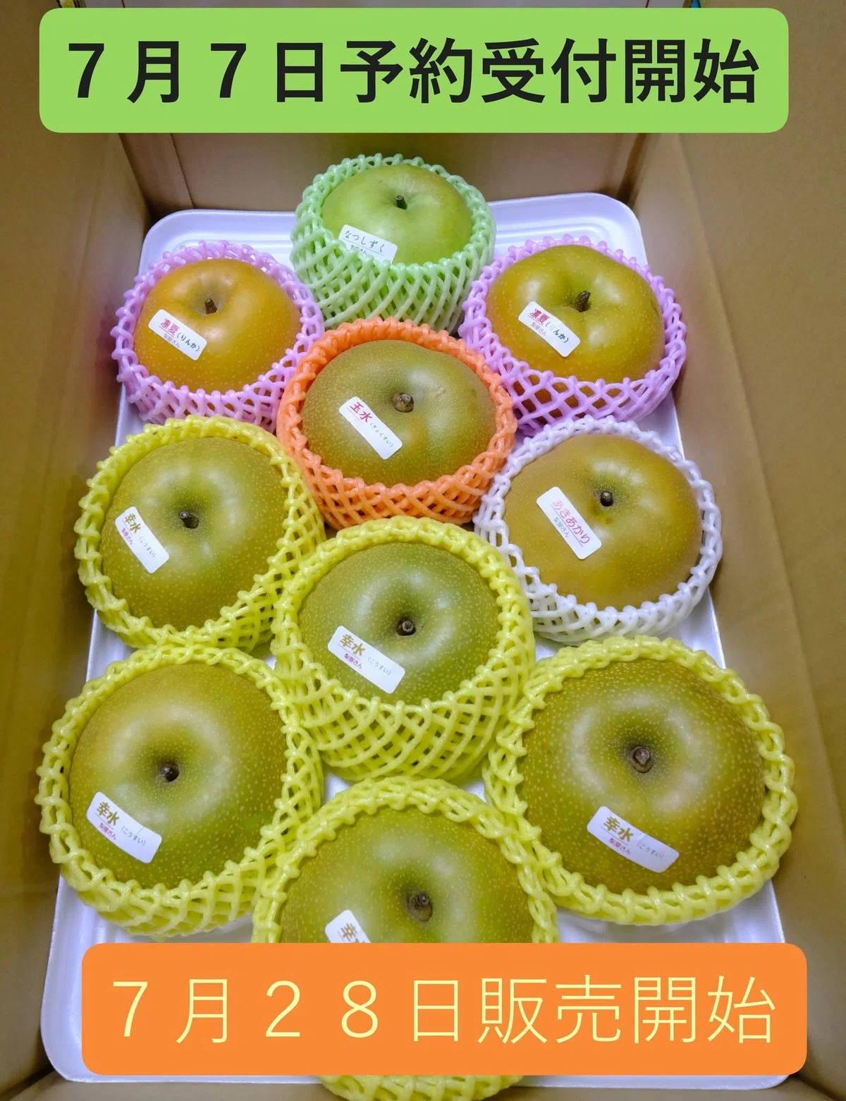 A Year at the Pear Farm and the Summer Harvest: Applying Insights from ...