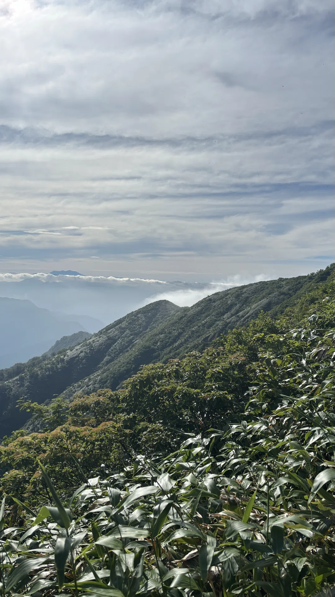 [Hiking Diary #026] Japan's 100 Famous Mountains: Mt. Arashima | The ...