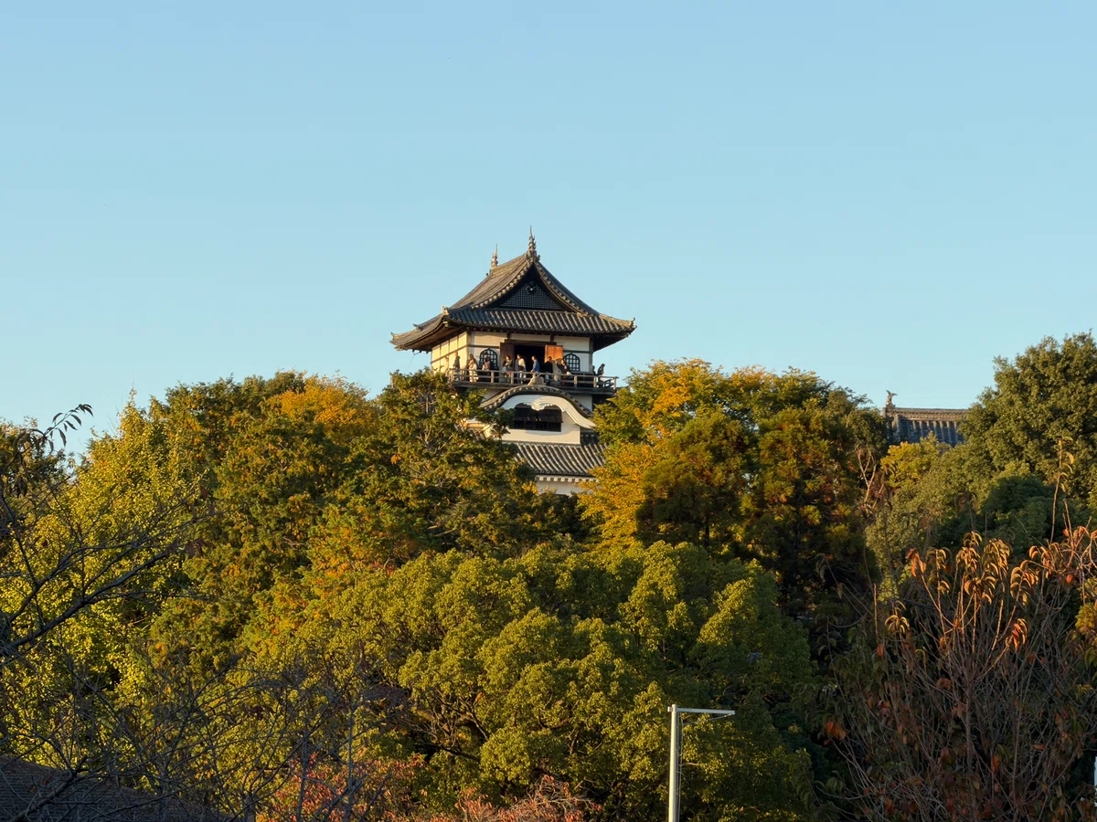 Walking Through the National Treasure Inuyama Castle and its Castle ...