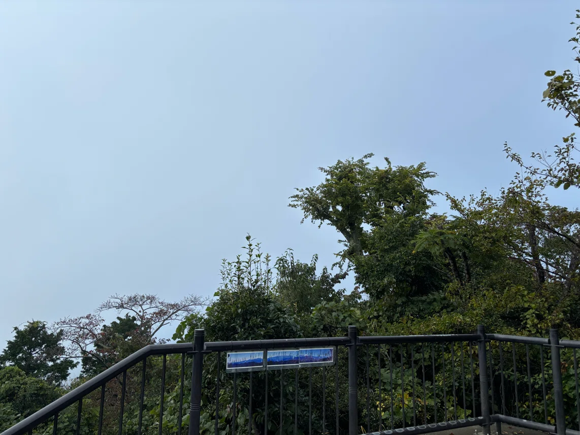 A story about climbing Mount Takao during a break in the rain clouds?｜eco