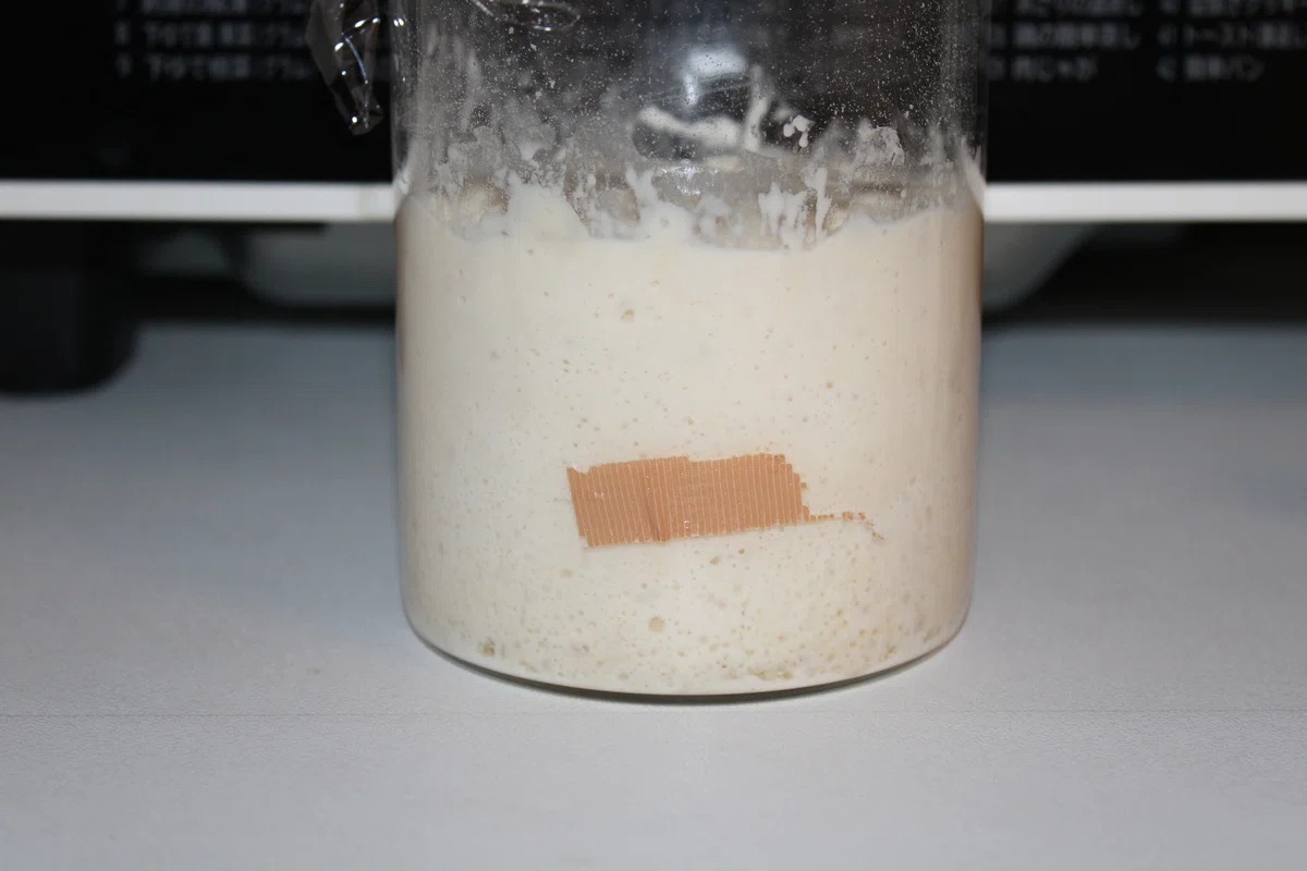 Yiest Image Lemon Yeast Bread Made in Various Ways|宇辺ドブレ | Room菌菌菌