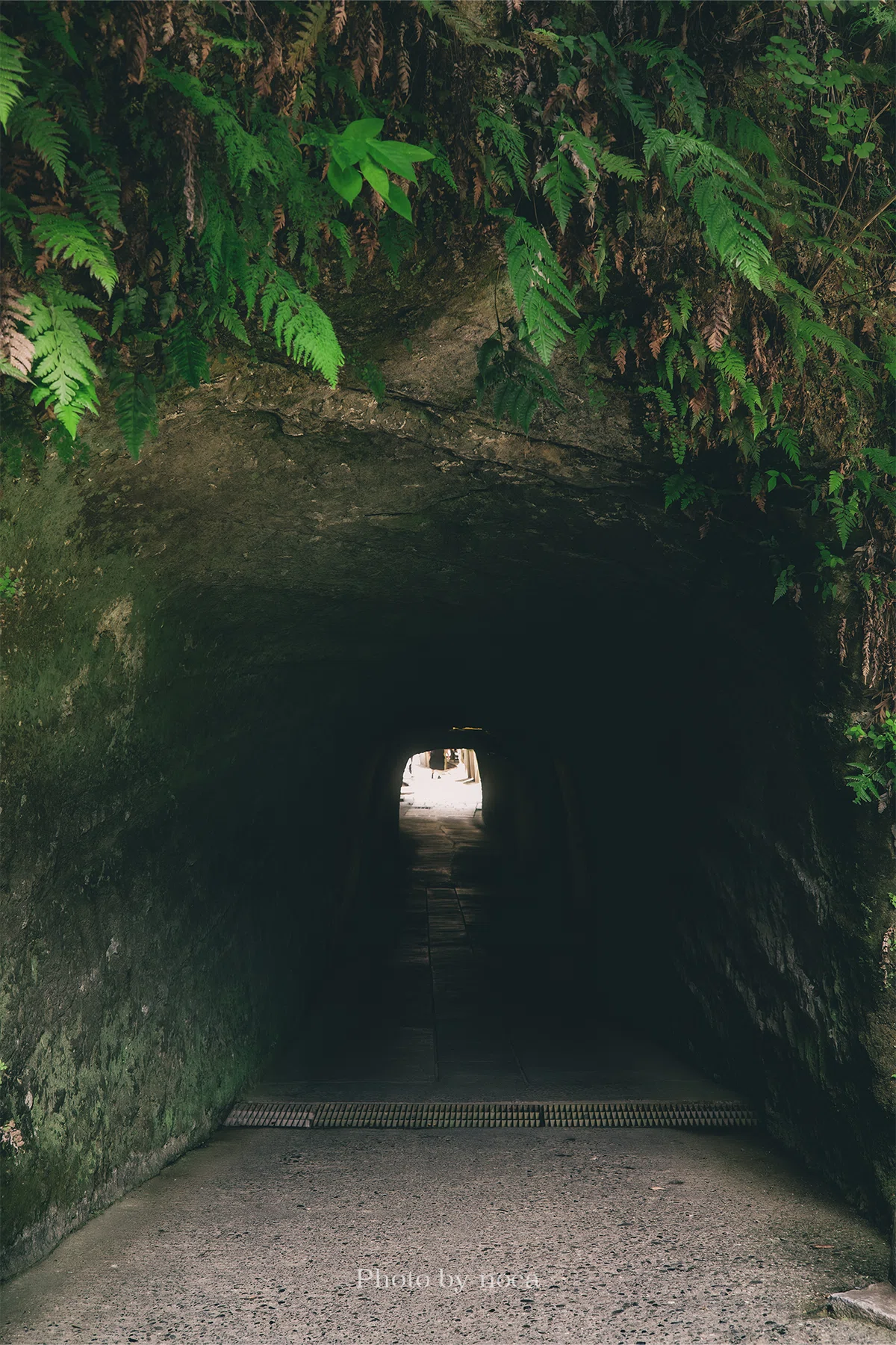 [X100VI × Kamakura Vol. 2] Beyond the rock tunnel. Visiting Zeniarai ...