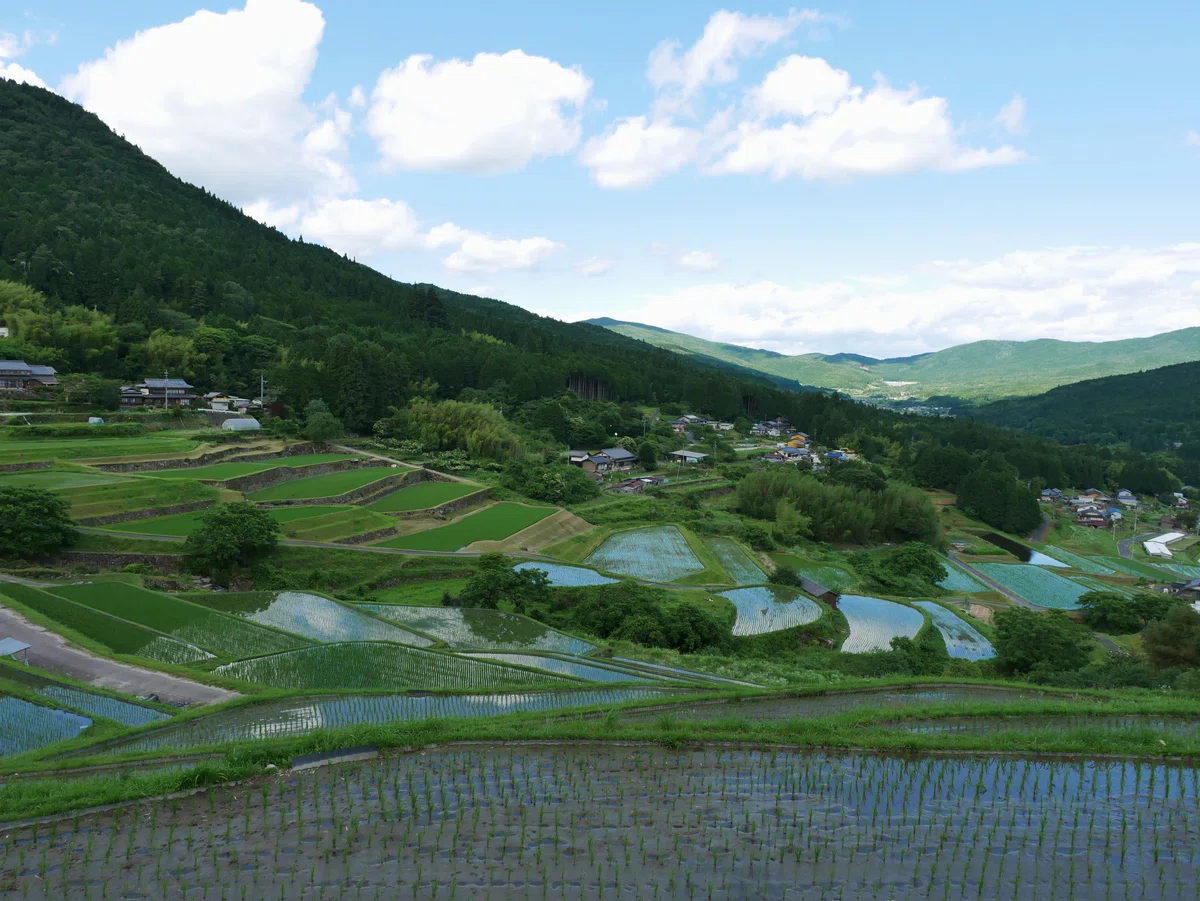 [Sakaori Rice Terraces] Enjoying the Satoyama Scenery and Starry Sky ...