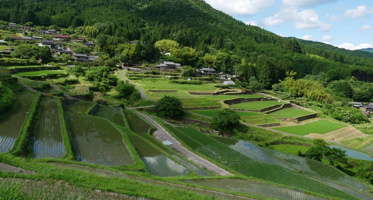 [Sakaori Rice Terraces] Enjoying the Satoyama Scenery and Starry Sky ...