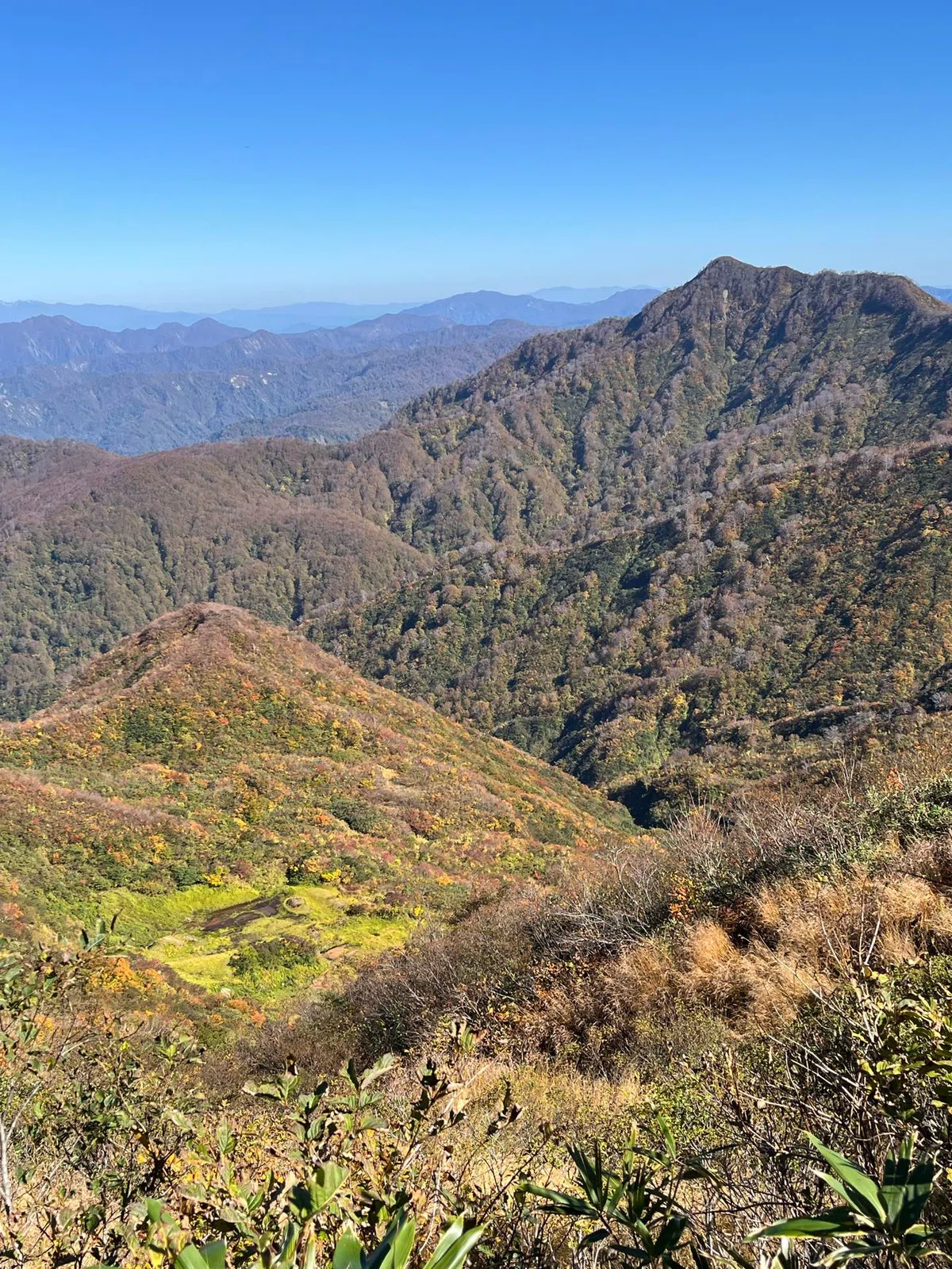 2026.10.23 Mt. Sumon｜十日町おだまき山の会