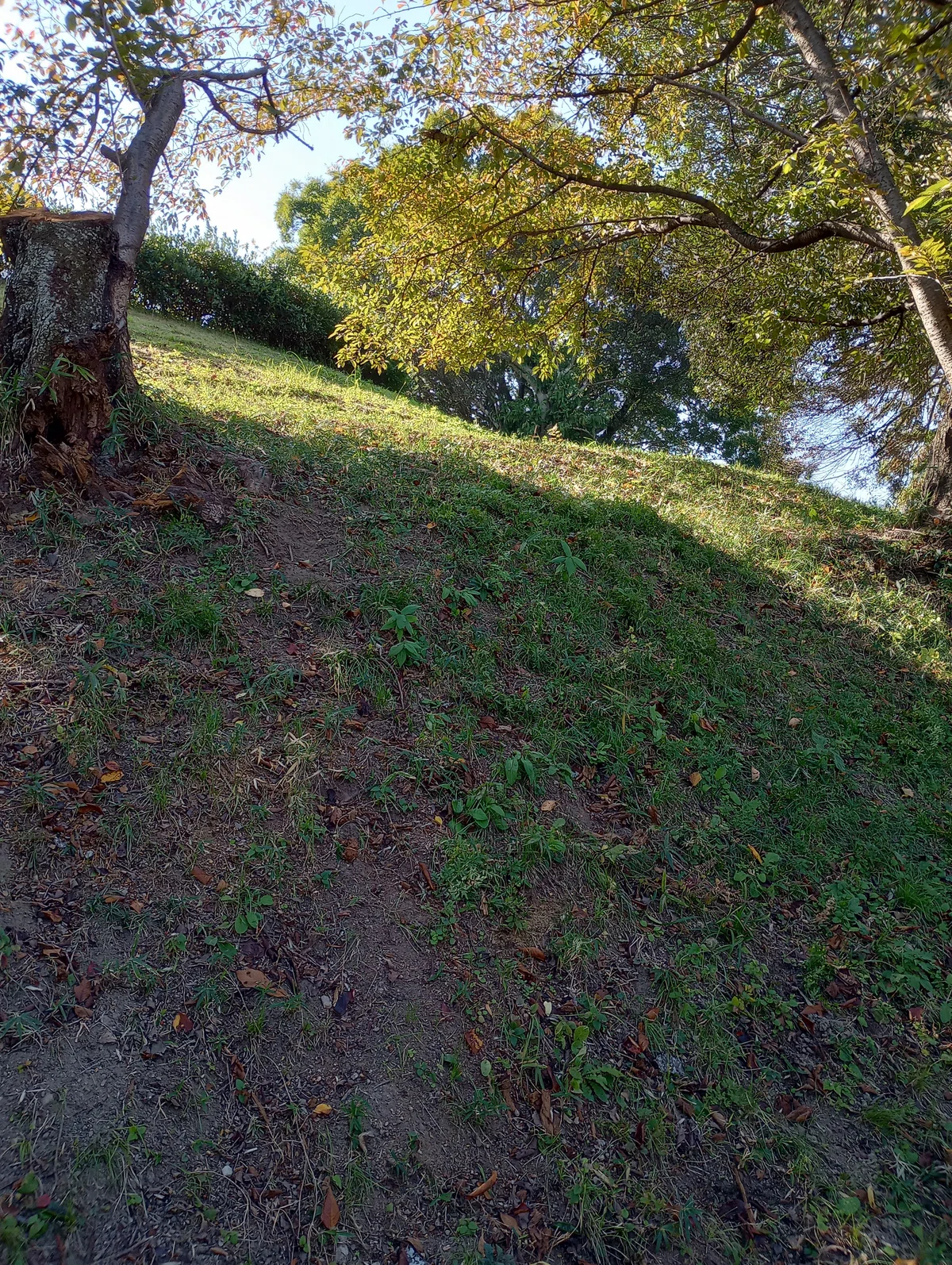 November 2023: Tenri Kofun, Asuka Village, Kofuku-ji Temple, and Himuro ...