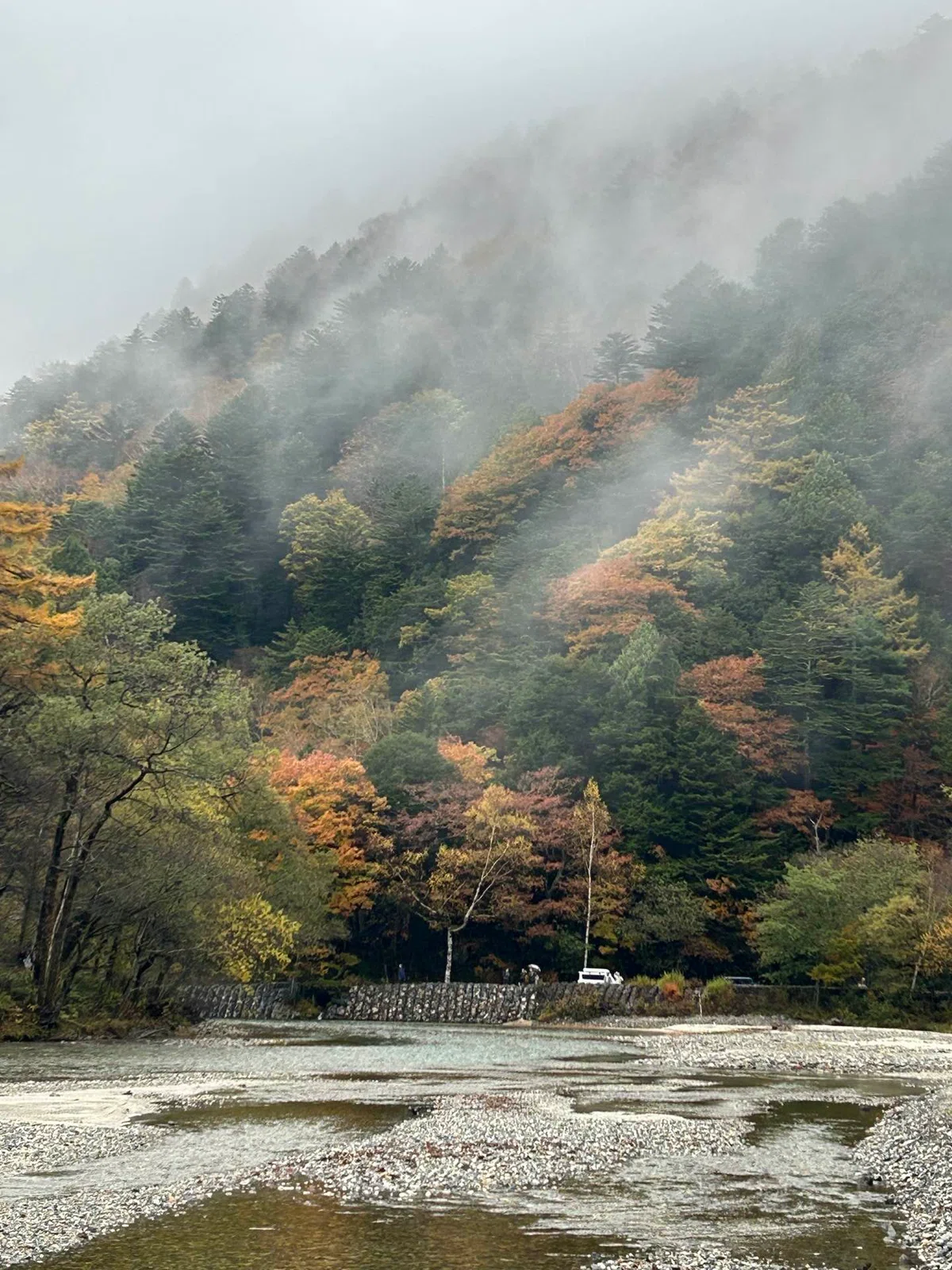 13 The Story of How I Found a 'Secret Stream' in Kamikochi｜瀬戸内みなみの「猫とおさんぽ」