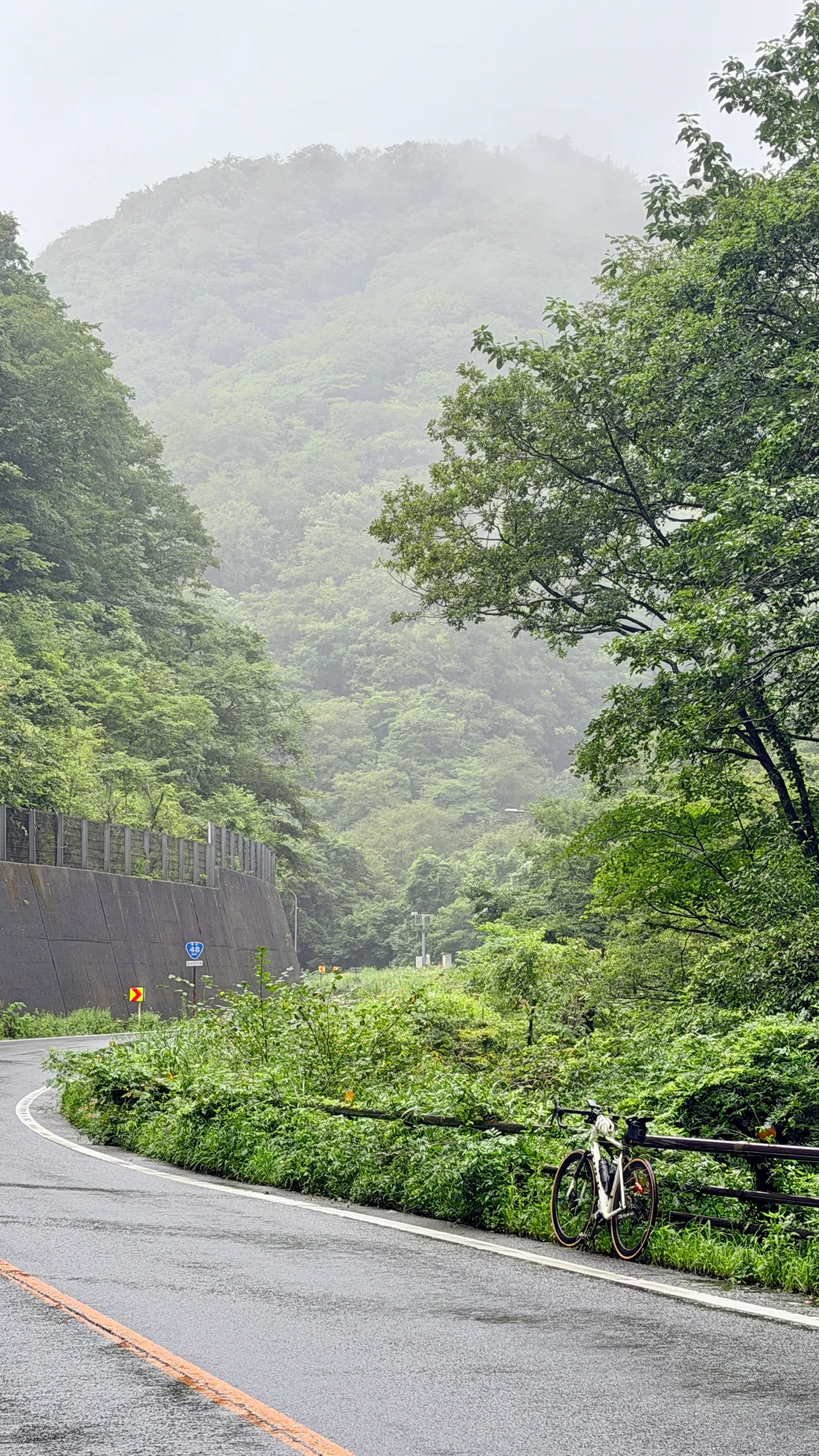 [Pacific Ocean → Sea of Japan 200km Ride] Crossing Japan in a Day by ...