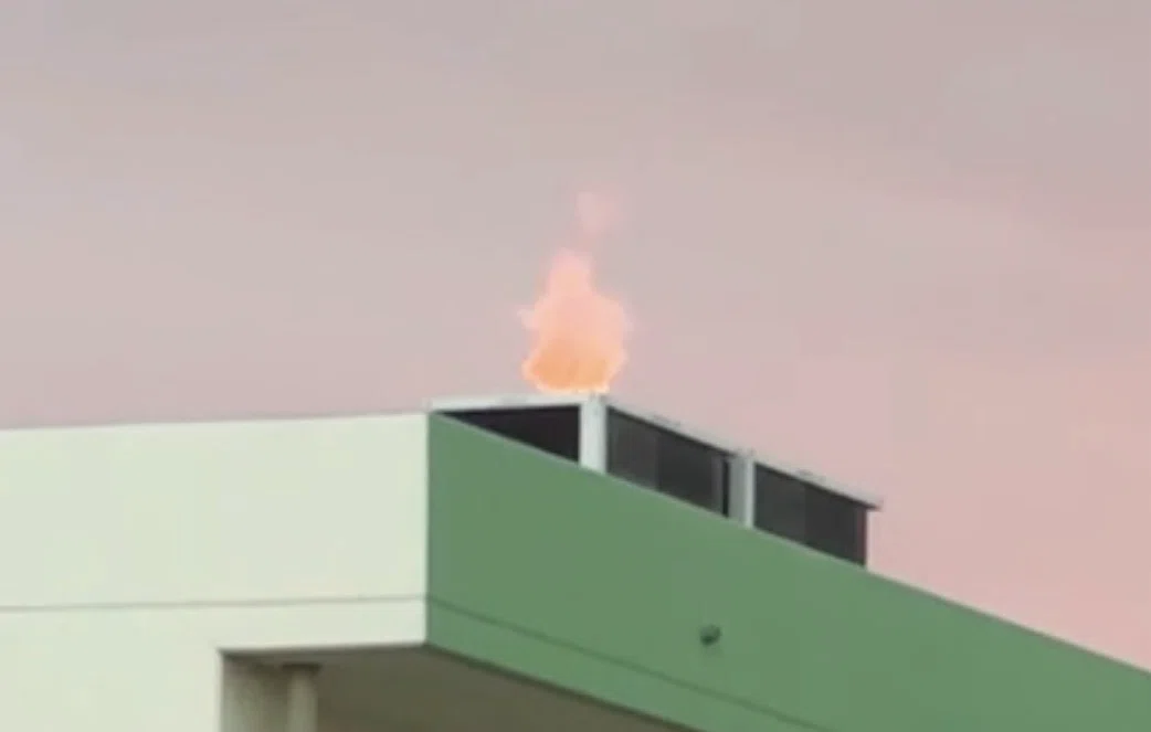 [True Story] A fire on the school roof!?｜だあやま