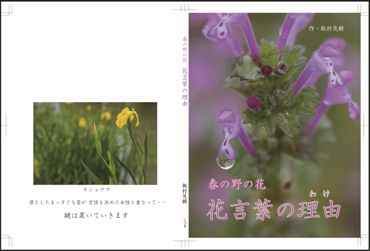 Nature Photographer/Shigeki Iimura: Why Not Create a Photo Picture Book ...