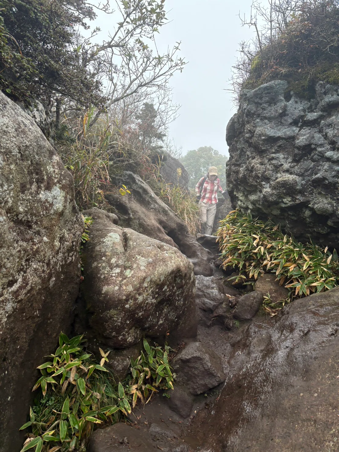 My Mountain Climbing Debut. The Charm of Mountains Wasn't Just the ...