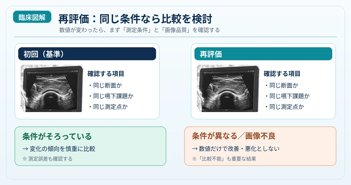 [Dental Dysphagia Ultrasound Promotion Association] The 33rd Session ...