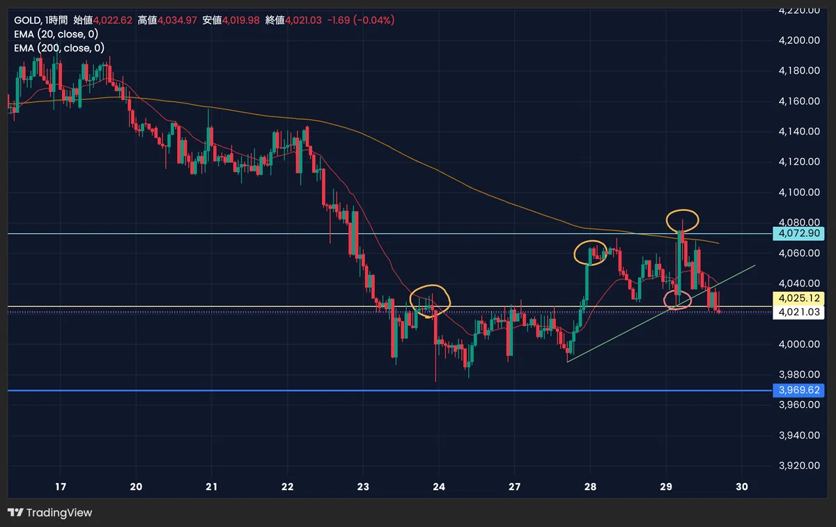 2026/10/29 (Thu) GOLD Market Analysis｜トレニキ