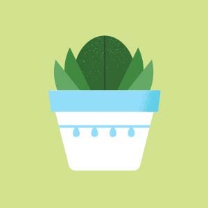 2024.8月から更新してないのでフォローしても意味ないですよ。の、網野杏子。