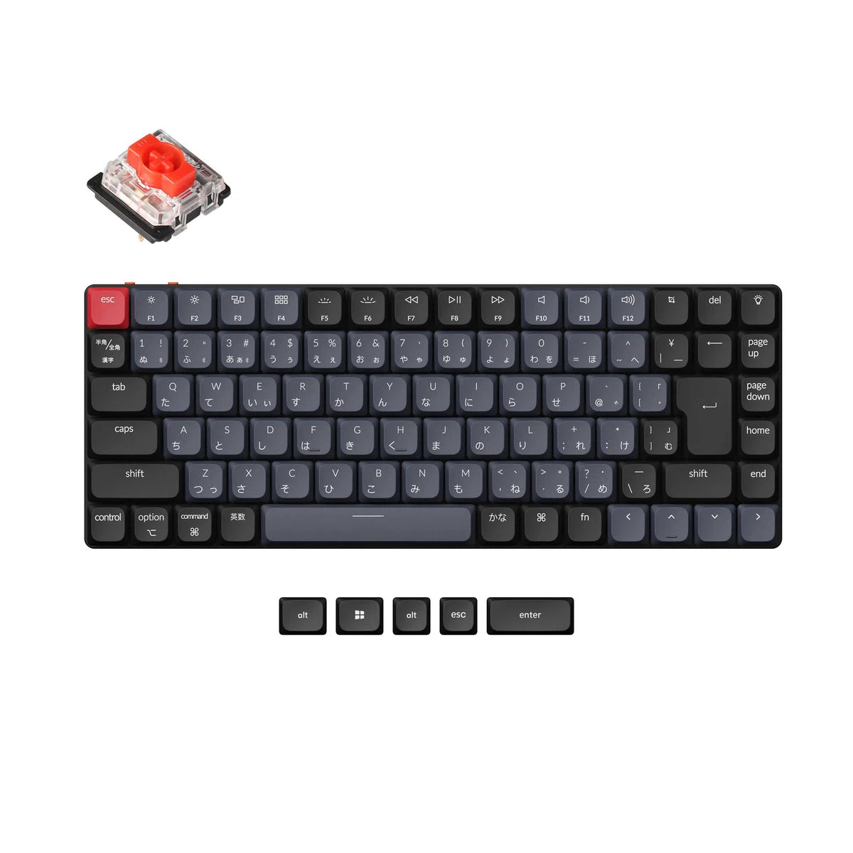 Keychron Q2 Max (JIS配列/茶軸) を使ってみた感想｜レクタ