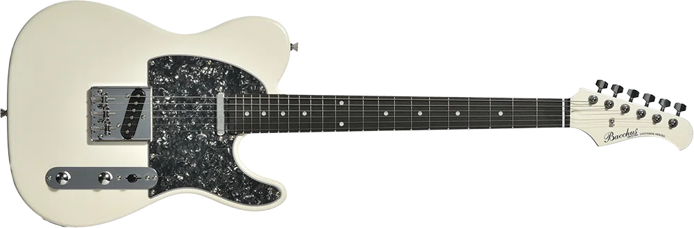 ギター備忘録 - Bacchus BTE-1DX RSM/P｜HLQ