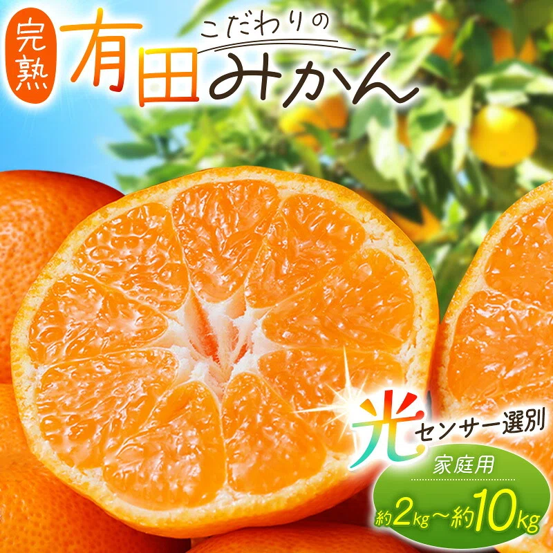 コメント