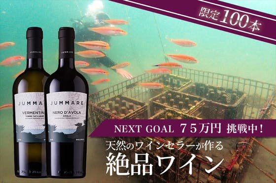 限定100本！海底熟成オーガニックワインを通じて三浦半島を支える環境を守りたい