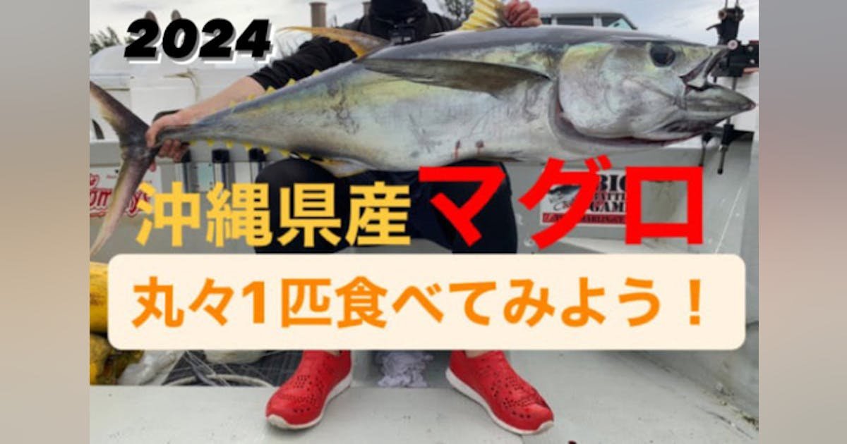 【第二回】沖縄の釣れたてマグロまる一匹食べてみませんか？