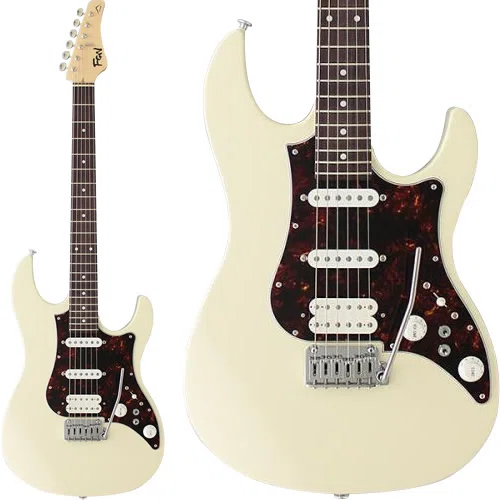 Fujigen Guitar's flagship model 