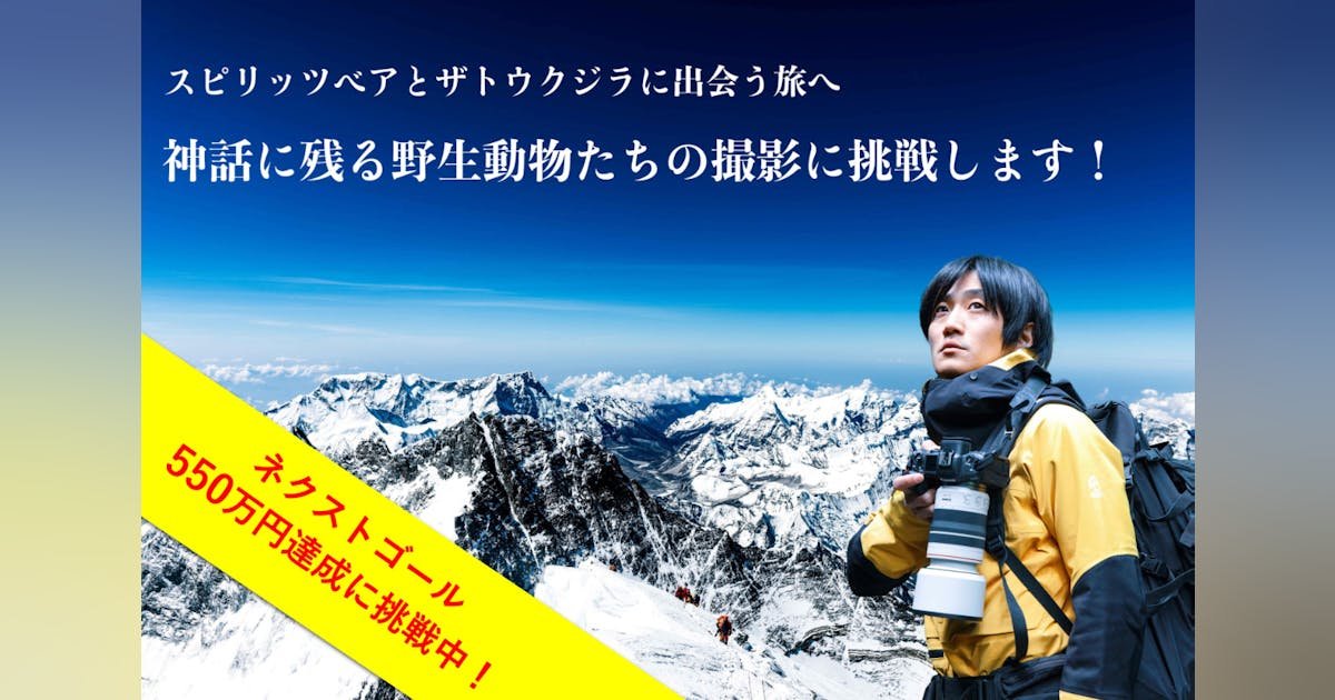 神話に残る野生動物 たちの撮影に挑戦！スピリッツベアとザトウクジラに出会う旅へ！