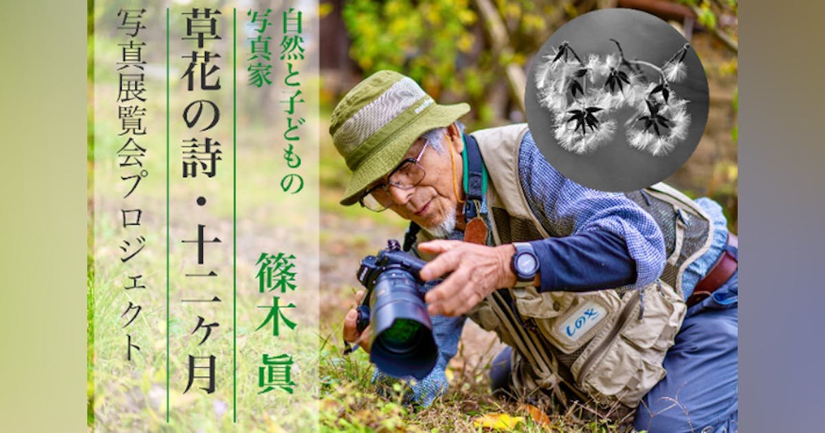 自然と子どもと共に生きる写真家、シノキが撮影する野草の白黒写真展を開催したい！